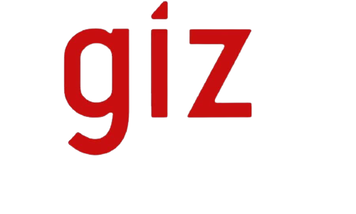 GiZ Project